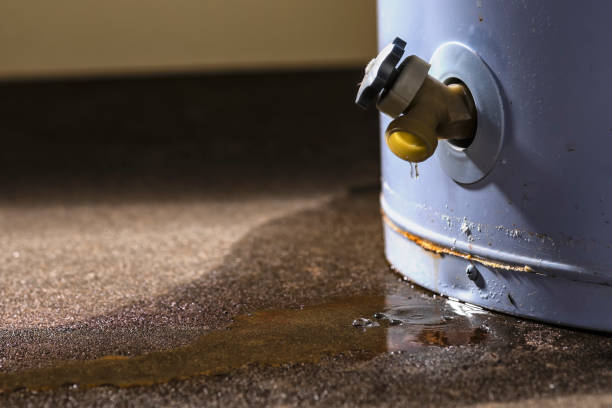 Best Mold removal after water damage  in Cheltenham Village, PA
