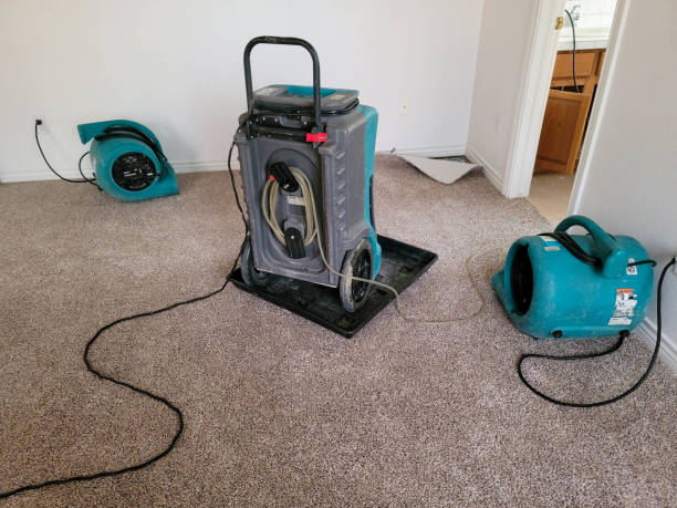Best Ceiling water damage repair  in Cheltenham Village, PA
