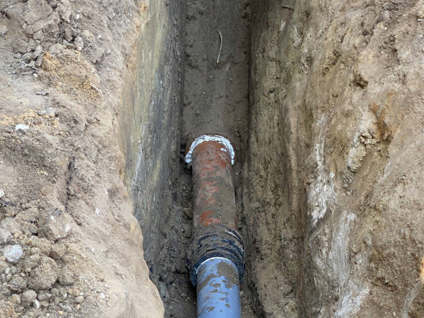Best Flood damage cleanup  in Cheltenham Village, PA