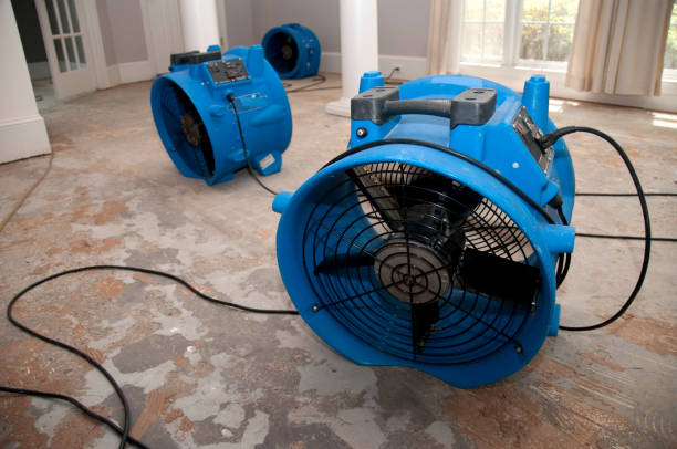 Best Water damage cleanup near me  in Cheltenham Village, PA