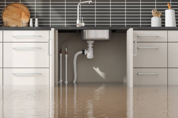 Best Water damage contractors near me  in Cheltenham Village, PA