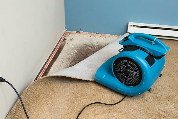 24/7 water damage repair in Cheltenham Village, PA
